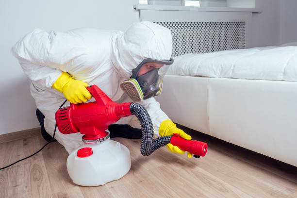 Best Pest Control for Homes  in Anadarko, OK