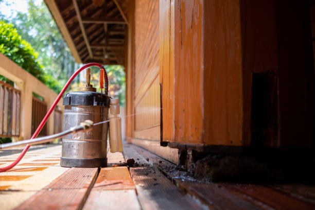 Best Affordable Pest Control Services  in Anadarko, OK