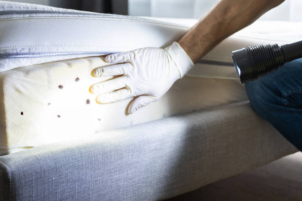 Best Pest Prevention Services  in Anadarko, OK