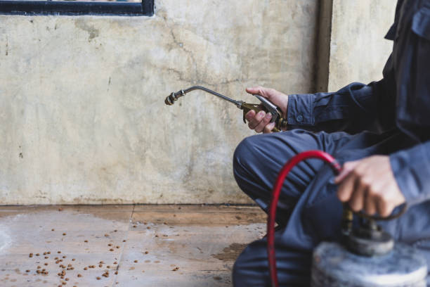 Best Mosquito Control Services  in Anadarko, OK